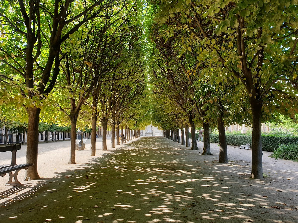 Palais-Royal Gardens